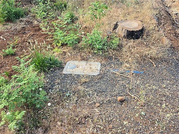 5th image of 7279 Pentz Rd