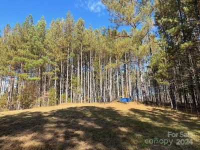 0 Destiny Dr #8, Mill Spring, NC, 28756