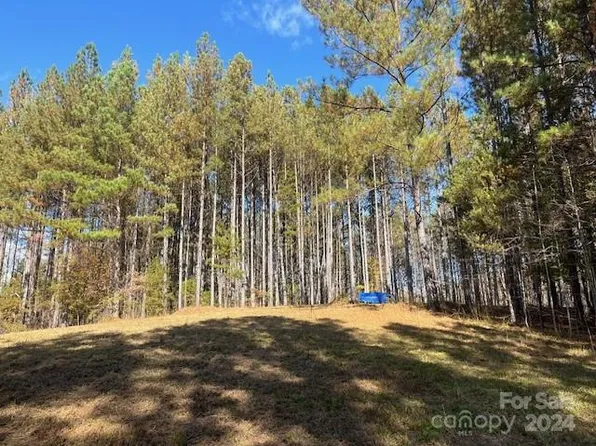 0 Destiny Dr #8, Mill Spring, NC 28756