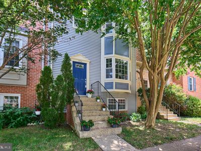 7084 Solomon Seal Ct, Springfield, VA, 22152