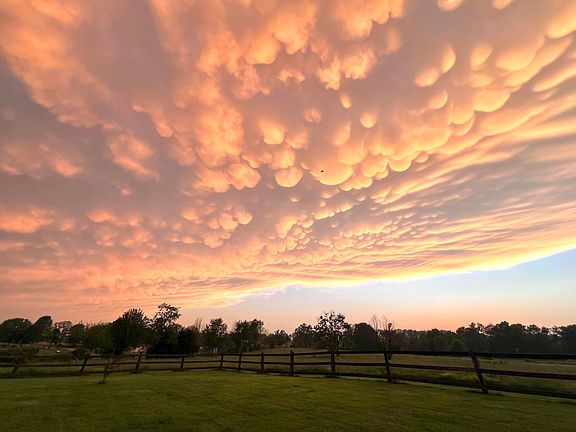 4th image of 1981 Robinson Road