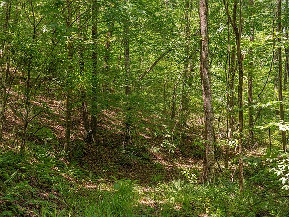 5th image of 0 Mountain View Ln