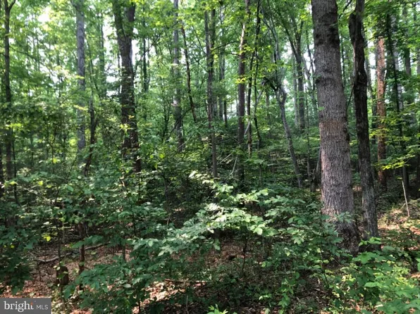 Hidden Lake Ln, Rixeyville, VA 22737