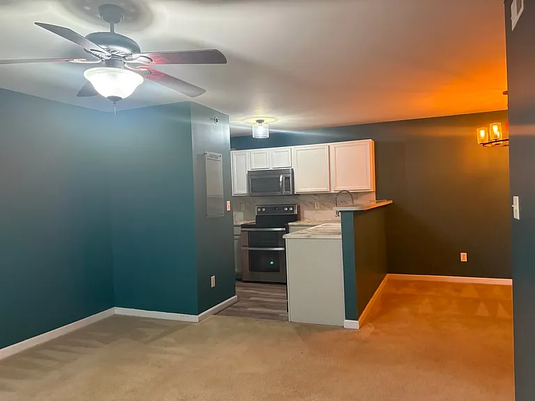 9201 Spring Creek Ln — Photo 32