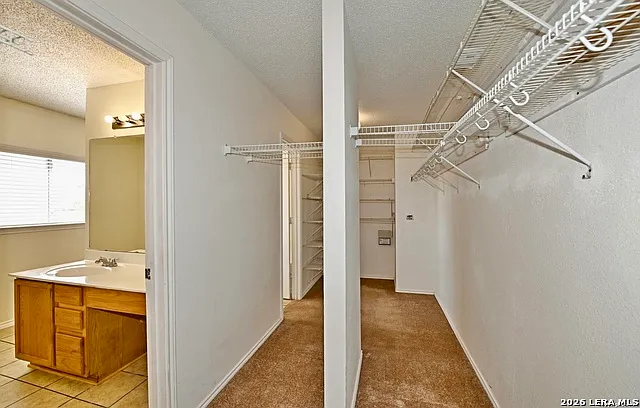 18534 Taylore Run — Photo 22