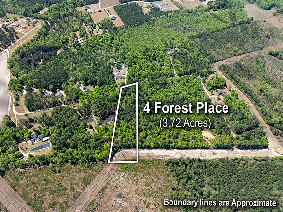 3rd image of 4 Forest Pl