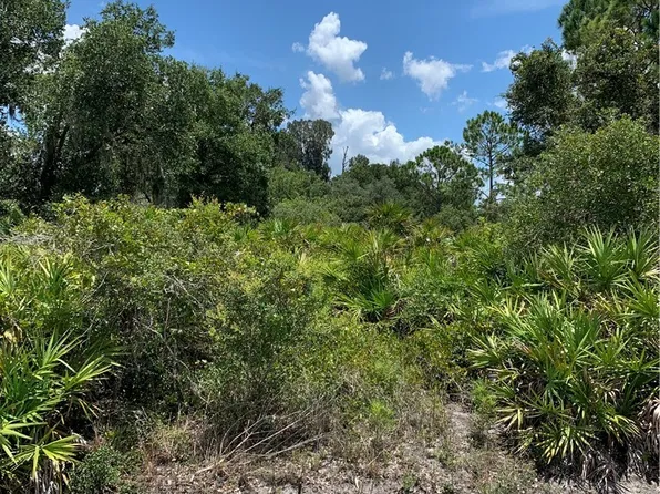 1228 Cowhouse Rd, Lorida, FL 33857