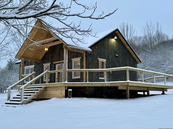 41 Carr George Road, Roxbury, NY 12474