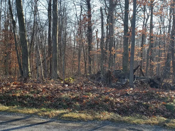 0 Township Road 115, Mount Gilead, OH 43338