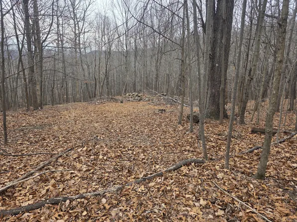 0 Hickory Falls Rd, Blue Ridge, VA 24064