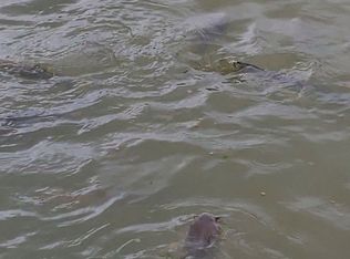 7770 N Saint Louis St, Cave City, AR 72521