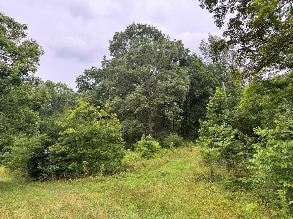 Real estate listing image