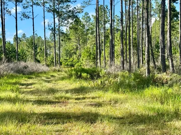 Vac Se County Rd #232, Bell, FL 32619