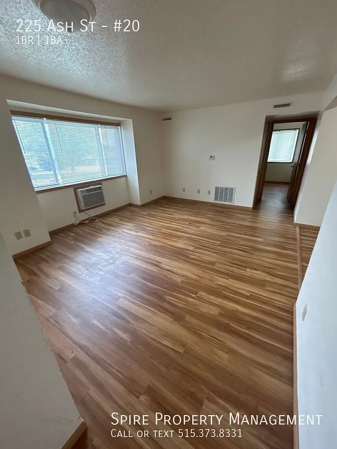 Light filled 1bd apartment with no carpet! — Photo 3
