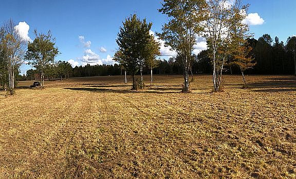 4th image of Lot 12 Timbercrest (cook)