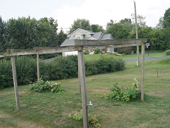 Concord grape arbor