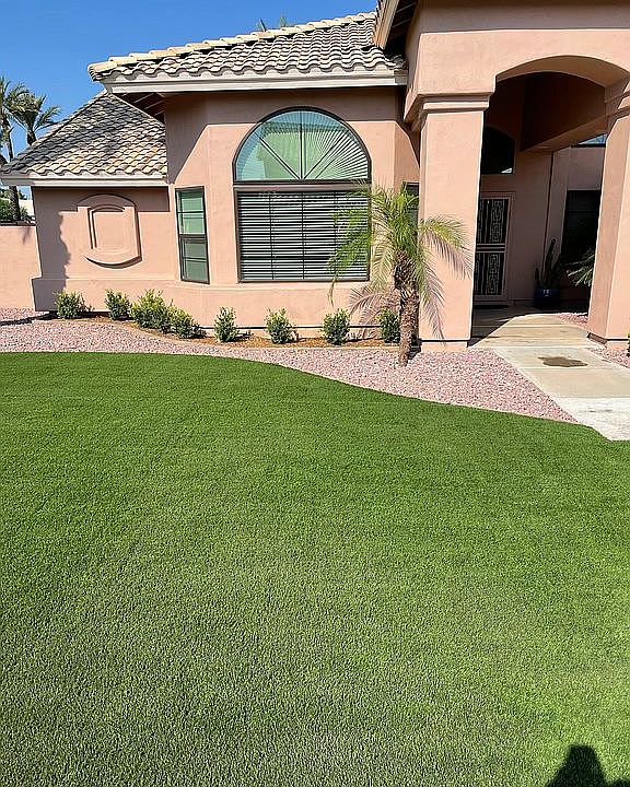 Fake grass