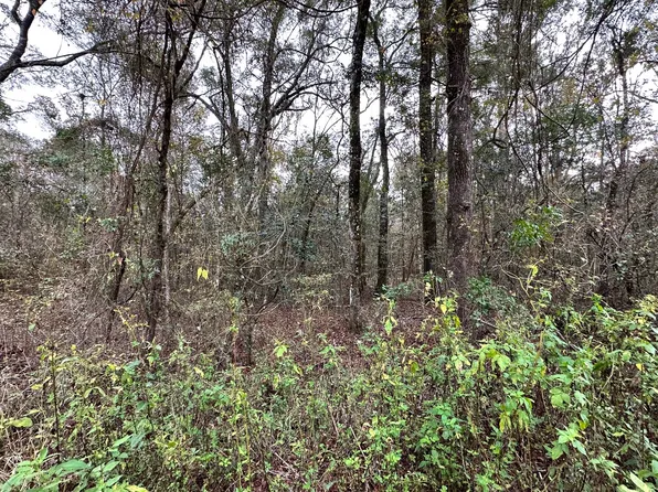 14th St Lot 10, Live Oak, FL 32060