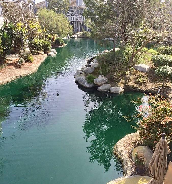 Pond View