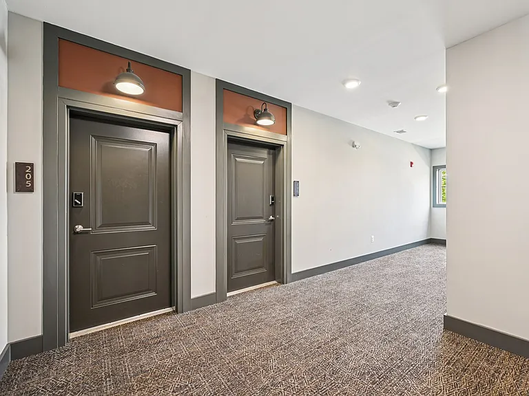 HoneyGo Run — Photo 13