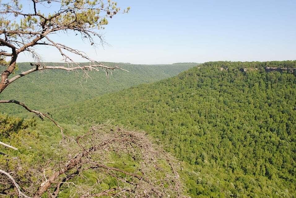 0 Pocket Rd, Whitwell, TN 37397 MLS 1381019 Zillow