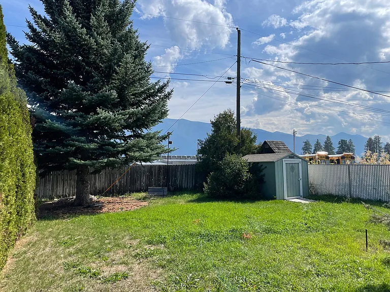 Backyard
