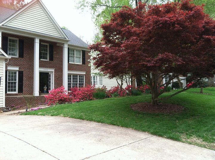 1st image of 13026 Angel Oak Dr