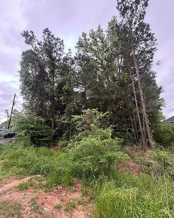 2nd image of 16935 Balmoral Street