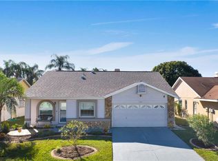 11303 Smokethorn Dr, Riverview, FL 33579