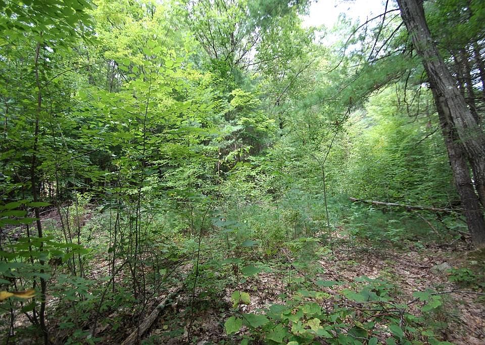 2nd image of 41 Ridge Rd