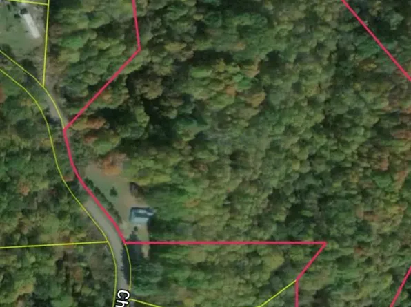 Tbt Chicken Ridge Rd, Jewell Ridge, VA 24622