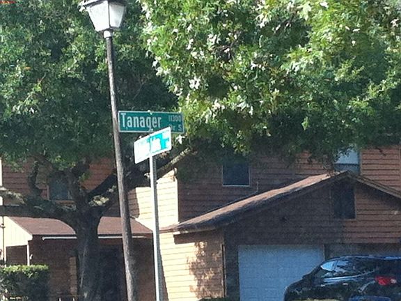 5th image of 11691 Tanager Dr