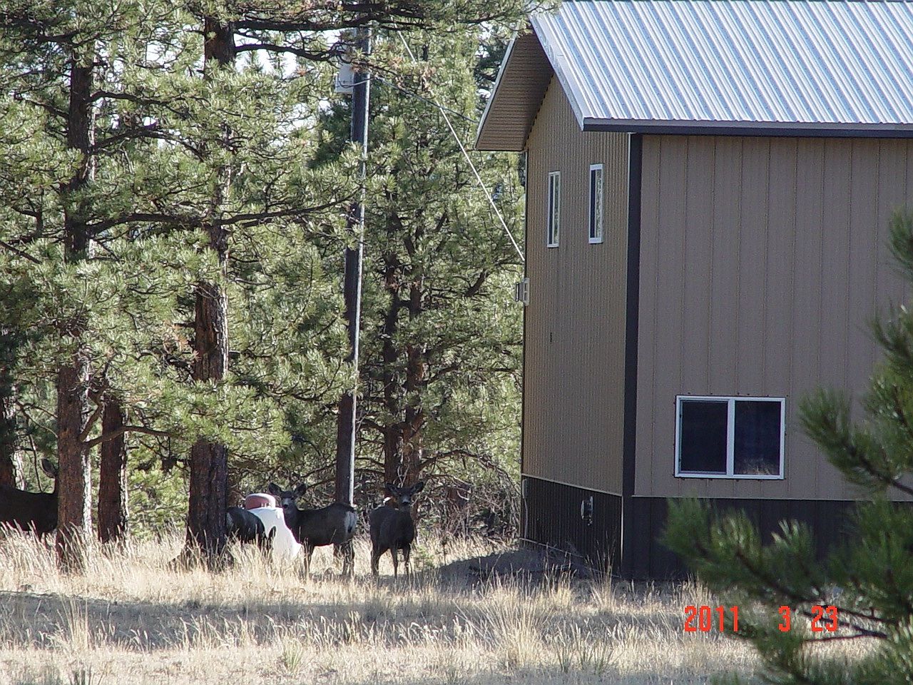 1095 Doe Valley Rd, Guffey, CO 80820 Zillow