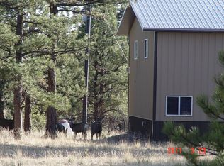 1095 Doe Valley Rd, Guffey, CO 80820