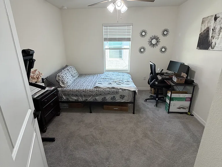 33370 Apricot Tree Ct — Photo 15