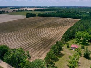 757 Old Eldorendo Rd, Brinson, GA 39825