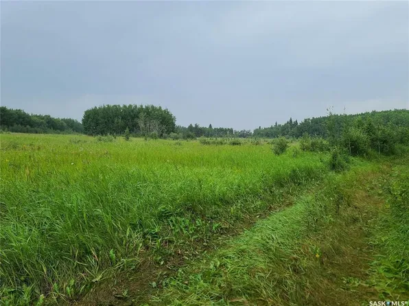  Rural Address, Mervin Rm No.499, SK S0M 2Y0