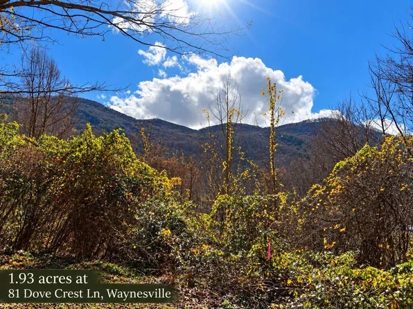 81 Dove Crest Ln, Waynesville, NC 28786