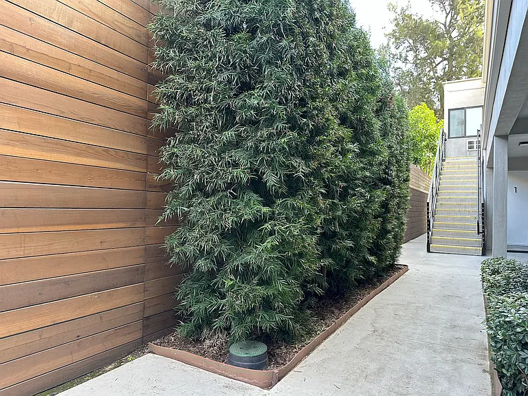 1011 Linden Ave #9 — Photo 21