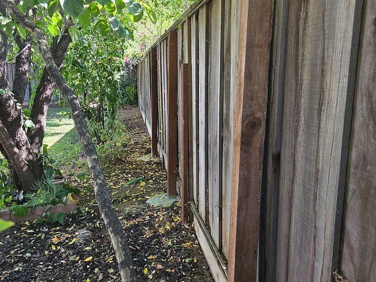 The side of the fence in the backyard