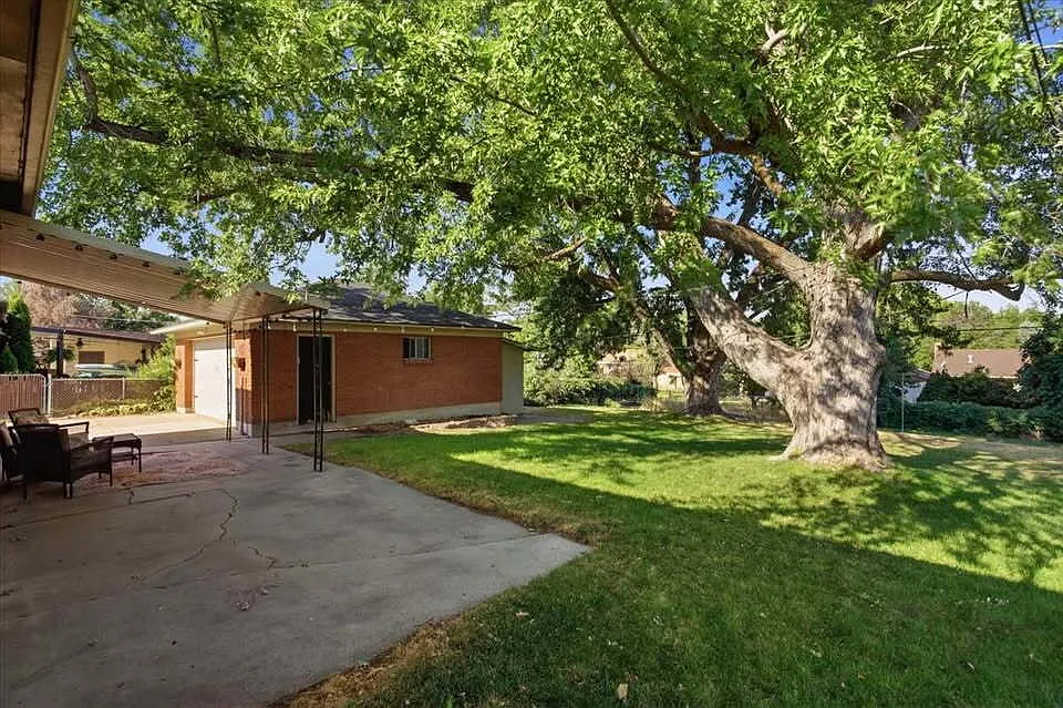 3 bed, 1.0 bath, 1256 sqft, $2,000 — Photo 3