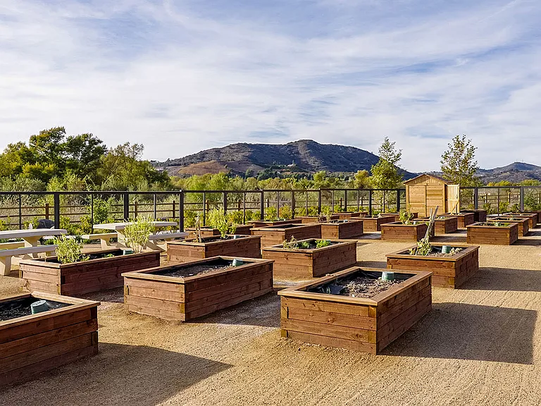 community garden