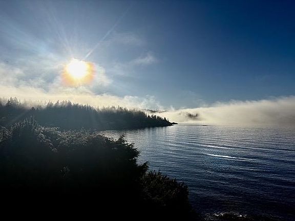 5th image of 1801 Arbutus Point Rd