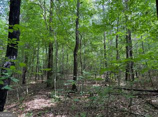 Us Highway 80 W LOT 2, Roberta, GA 31078