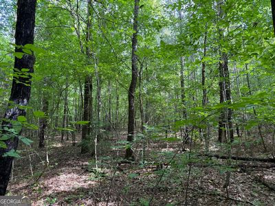 Us Highway 80 W LOT 2, Roberta, GA, 31078