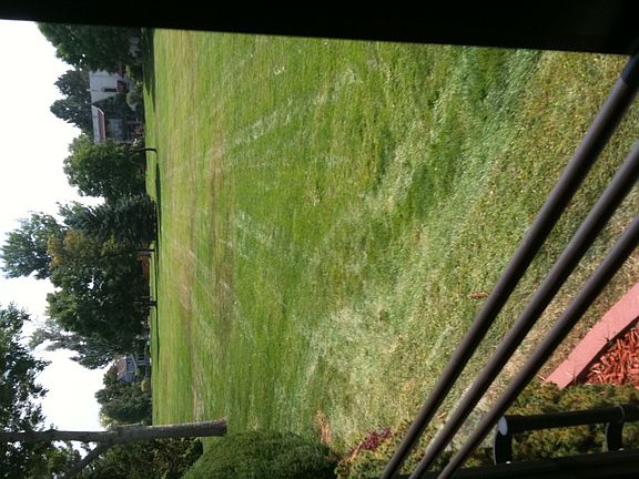 Outside sun room 