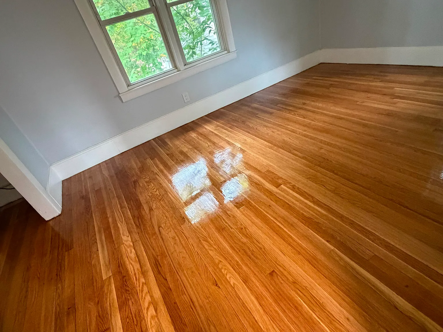 15 Newport St — Photo 3
