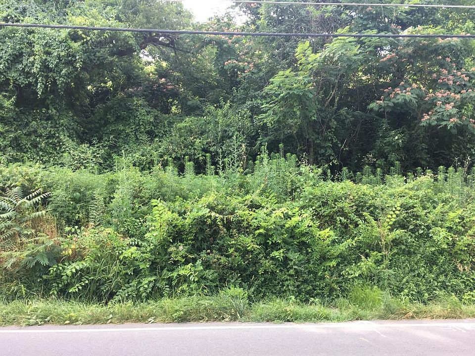 2nd image of 1709 Dutch Valley Dr