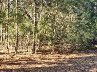 Drayton Dr, Ridgeland, SC 29936