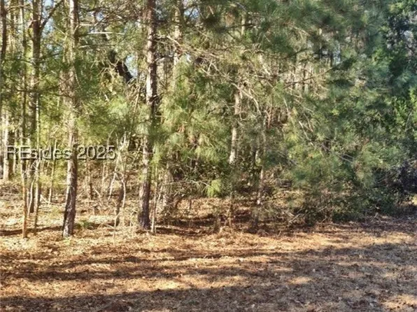 Drayton Dr, Ridgeland, SC 29936